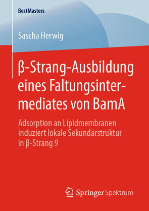 β-Strang-Ausbildung eines Faltungsintermediates von BamA von Herwig,  Sascha