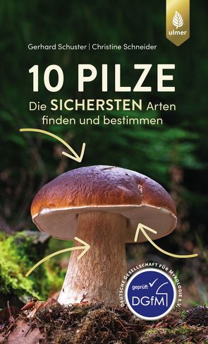 10 Pilze von Schneider,  Christine, Schuster,  Gerhard