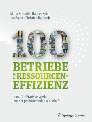 100 Betriebe für Ressourceneffizienz – Band 1 von Bauer,  Joa, Haubach,  Christian, Institute for Industrial Ecology INEC, Schmidt,  Mario, Spieth,  Hannes