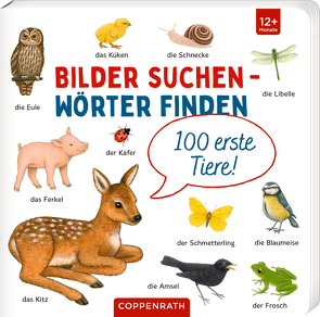 100 erste Tiere von Brauer,  Sybille