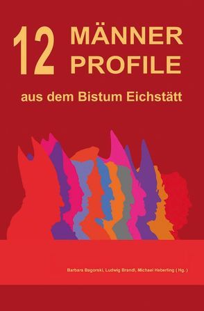 12 Männer Profile aus dem Bistum Eichstätt von Bagorski,  Barbara, Brandl,  Ludwig, Heberling,  Michael