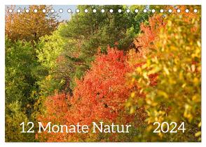 12 Monate Natur (Tischkalender 2024 DIN A5 quer), CALVENDO Monatskalender von Schmidt,  Sergej