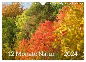 12 Monate Natur (Wandkalender 2024 DIN A4 quer), CALVENDO Monatskalender von Schmidt,  Sergej