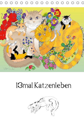 13mal Katzenleben (Tischkalender 2020 DIN A5 hoch) von Thümmler,  Silke