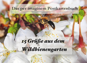 15 Grüße aus dem Wildbienengarten von Lohmann,  Ulrike