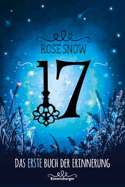 17, Das erste Buch der Erinnerung von Rose Snow