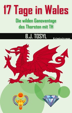 17 Tage in Wales von Tosyl,  B.J.