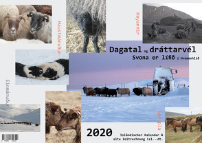 2020 Isländischer Kalender & alte Zeitrechnung von Mende,  Caroline Kerstin