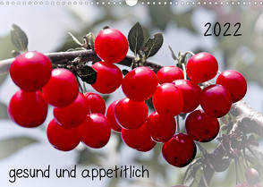 2022 gesund und appetitlich (Wandkalender 2022 DIN A3 quer) von Möller,  Michael