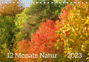 12 Monate Natur (Tischkalender 2023 DIN A5 quer) von Schmidt,  Sergej