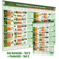 [2er Set] Essbare Wildkräuter für Grüne Smoothies Poster (DINA2) und Erkennungskarte (DINA4) Teil 2 (2023) von Cremer,  Samuel, www.futurepacemedia.de, Zenz (Der Seelengärtner),  Alfred