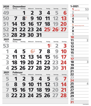 3-Monats-Planer XL Combi 2021 von Korsch Verlag