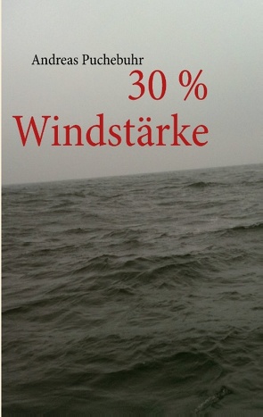 30 % Windstärke von Puchebuhr,  Andreas