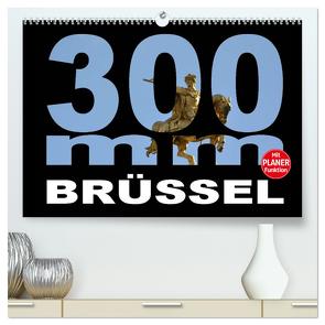 300mm – Brüssel (hochwertiger Premium Wandkalender 2024 DIN A2 quer), Kunstdruck in Hochglanz von Bartruff,  Thomas