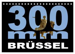 300mm – Brüssel (Tischkalender 2024 DIN A5 quer), CALVENDO Monatskalender von Bartruff,  Thomas