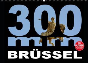 300mm – Brüssel (Wandkalender 2019 DIN A2 quer) von Bartruff,  Thomas