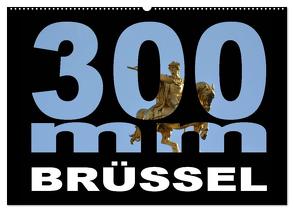 300mm – Brüssel (Wandkalender 2024 DIN A2 quer), CALVENDO Monatskalender von Bartruff,  Thomas