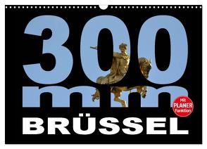 300mm – Brüssel (Wandkalender 2024 DIN A3 quer), CALVENDO Monatskalender von Bartruff,  Thomas