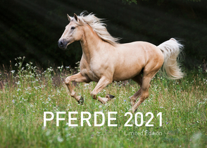 360° Pferde Exklusivkalender 2021 von Sarti,  Alessandra