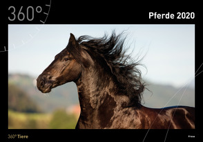 360° Pferde Kalender 2020 von Sarti,  Alessandra