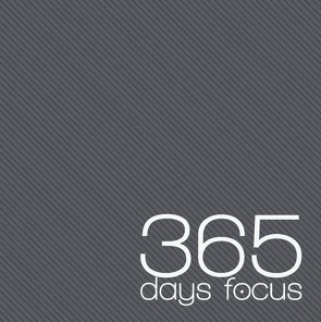 365 days focus / 365 days focus 2019 von Dalla Torre,  Laila