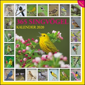365 Singvögel 2020 – Broschürenkalender – Wandkalender – mit Poster – Format 30 x 30 cm von DUMONT Kalenderverlag