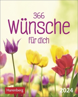 365 Wünsche für dich Mini-Geschenkkalender 2024 von Cornelia Sonnleitner