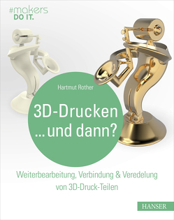 3D-Drucken…und dann? von Rother,  Hartmut