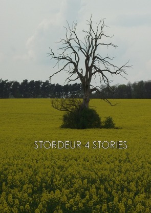 4 STORIES von Stordeur,  Rochus