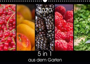 5 in 1 – aus dem Garten (Wandkalender 2020 DIN A3 quer) von Neuner,  Harald, Neuner-Gyß,  Petra