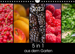 5 in 1 – aus dem Garten (Wandkalender 2022 DIN A4 quer) von Neuner,  Harald, Neuner-Gyß,  Petra