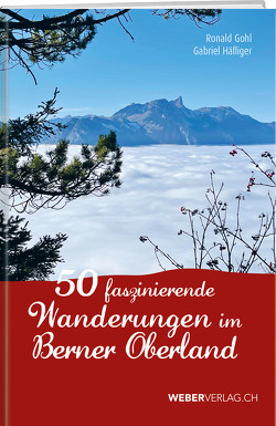 45 faszinierende Wanderungen im Berner Oberland von Gohl,  Ronald, Häfliger,  Gabriel