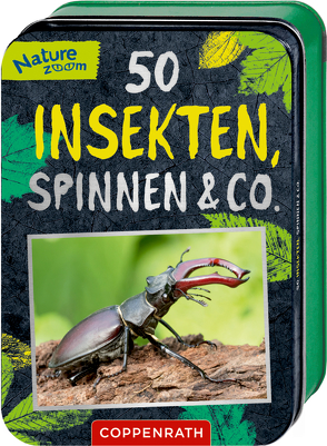 50 Insekten, Spinnen & Co. von Haag,  Holger, Rohrbeck,  Manfred