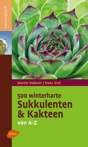 500 winterharte Sukkulenten und Kakteen von Graf,  Hans, Haberer,  Martin