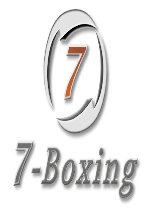 7-Boxing: Warum Manager boxen sollen von Herre,  Christopher