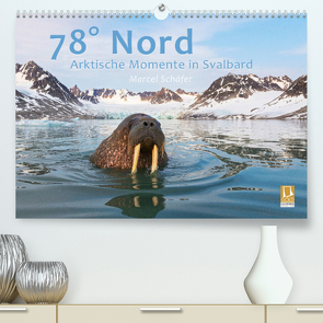 78° Nord – Arktische Momente in Svalbard (Premium, hochwertiger DIN A2 Wandkalender 2022, Kunstdruck in Hochglanz) von Schaefer,  Marcel