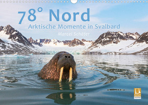 78° Nord – Arktische Momente in Svalbard (Wandkalender 2022 DIN A3 quer) von Schaefer,  Marcel