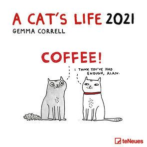 A Cat’s Life 2021 – Wand-Kalender – Broschüren-Kalender – 30×30 – 30×60 geöffnet – Katzen von Correll,  Gemma
