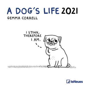 A Dog’s Life 2021 – Wand-Kalender – Broschüren-Kalender – 30×30 – 30×60 geöffnet – Hunde von Correll,  Gemma