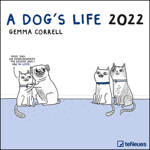 A Dog’s Life 2022 – Wand-Kalender – Broschüren-Kalender – 30×30 – 30×60 geöffnet – Hunde – Cartoon von Correll,  Gemma