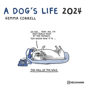 A Dog’s Life 2024 – Wand-Kalender – Broschüren-Kalender – 30×30 – 30×60 geöffnet – Hunde – Cartoon von Correll,  Gemma