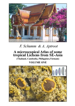 A microscopical Atlas of some tropical Lichens from SE-Asia (Thailand, Cambodia, Philippines, Vietnam) – Volume 1 von Aptroot,  Andre, Schumm,  Felix