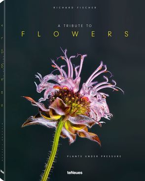 A Tribute to FLOWERS, Hardcover version von Fischer,  Richard