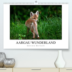 Aargau Wunderland (Premium, hochwertiger DIN A2 Wandkalender 2022, Kunstdruck in Hochglanz) von Bertschi,  Daniela
