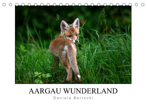 Aargau Wunderland (Tischkalender 2022 DIN A5 quer) von Bertschi,  Daniela