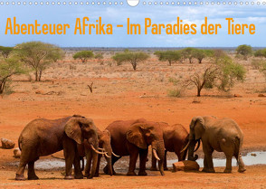 Abenteuer Afrika – Im Paradies der Tiere (Wandkalender 2023 DIN A3 quer) von Rohr,  Daniel