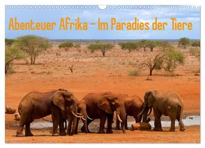 Abenteuer Afrika – Im Paradies der Tiere (Wandkalender 2024 DIN A3 quer), CALVENDO Monatskalender von Rohr,  Daniel