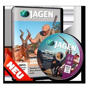Abenteuer Afrika Teil 3 – JAGEN WELTWEIT DVD Nr. 44 von Kastner,  Patrick