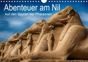 Abenteuer am Nil. Auf den Spuren der Pharaonen (Wandkalender 2020 DIN A4 quer) von Wenske,  Steffen