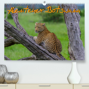Abenteuer Botswana Afrika – Adventure Botswana (Premium, hochwertiger DIN A2 Wandkalender 2023, Kunstdruck in Hochglanz) von Struckmann,  Frank